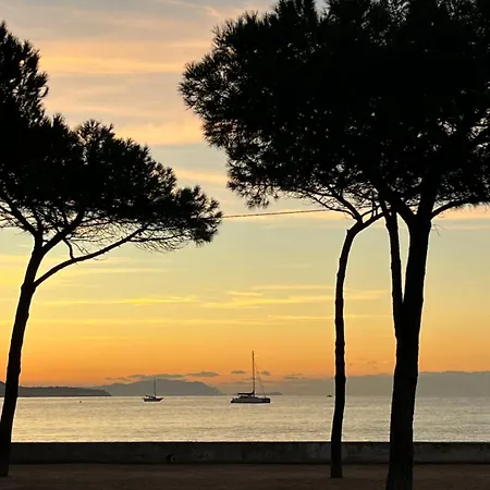 Apartmán Dolce Ciotat - A Cote De La